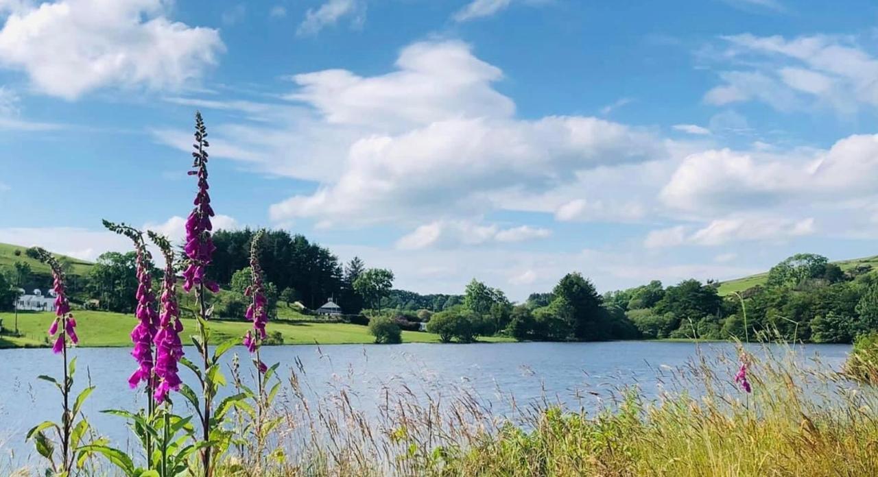 Lake View Romantic Retreat アベリストウィス エクステリア 写真